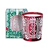 Diptyque City Exclusive Hong Kong Scented Candle