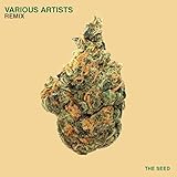  Zero Logic (Audio Bigot Remix)