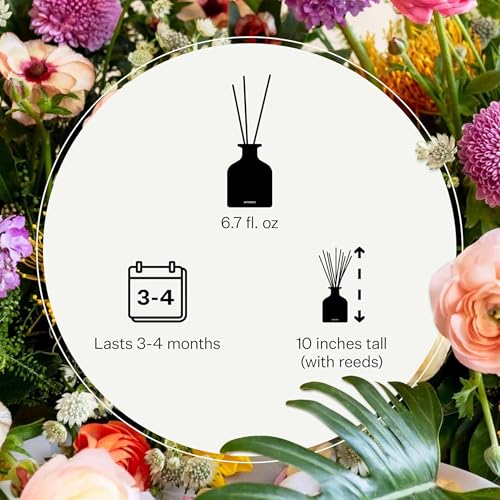 Image of Apotheke Luxury Scented Reed Diffuser for Home, Sea Salt Grapefruit - 6.7 Fl Oz Essential Oil Aromatherapy - 10 Rattan Scent Sticks Room Diffuser - Long-Lasting Fragrance for Bedroom, Home, Bathroom