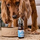 PAWD DRINKS Dog Calming Liquid Supplement (7 x 60ml) – Fast-Acting Dog Anxiety Relief for Stress, Fireworks & Travel – Natural Calming Treats & Tablets Alternative, Vet & Animal Nutritionist Approved - Image 4