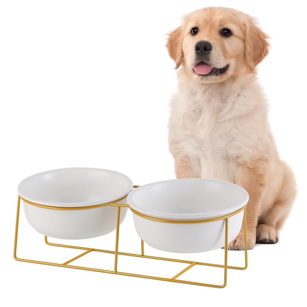 Bebedero y Comedero Perro Elevado - Doble Cuenco Perro Ceramica con Soporte de Metal - Comedero Gato Alto Antivomito - Bol de Comida y Agua para Perros Pequeños y Medianos y Gatos Grandes - 2 x 800 ml