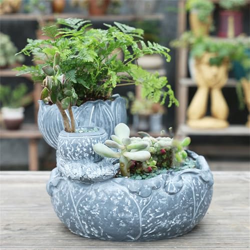 Pot de fleurs succulentes pour votre décoration intérieure - 6