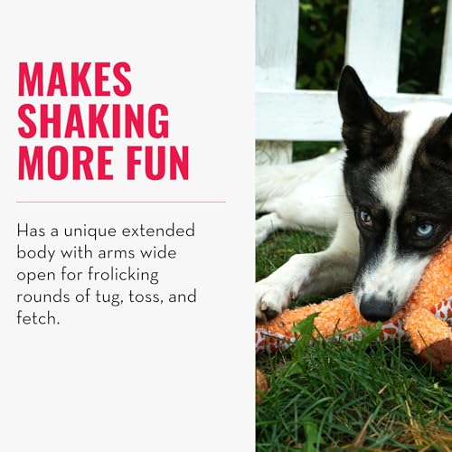 KONG – Shakers Luvs Giraffe – Interaktives Zerr– und Apportierspielzeug – Kleine Hunde