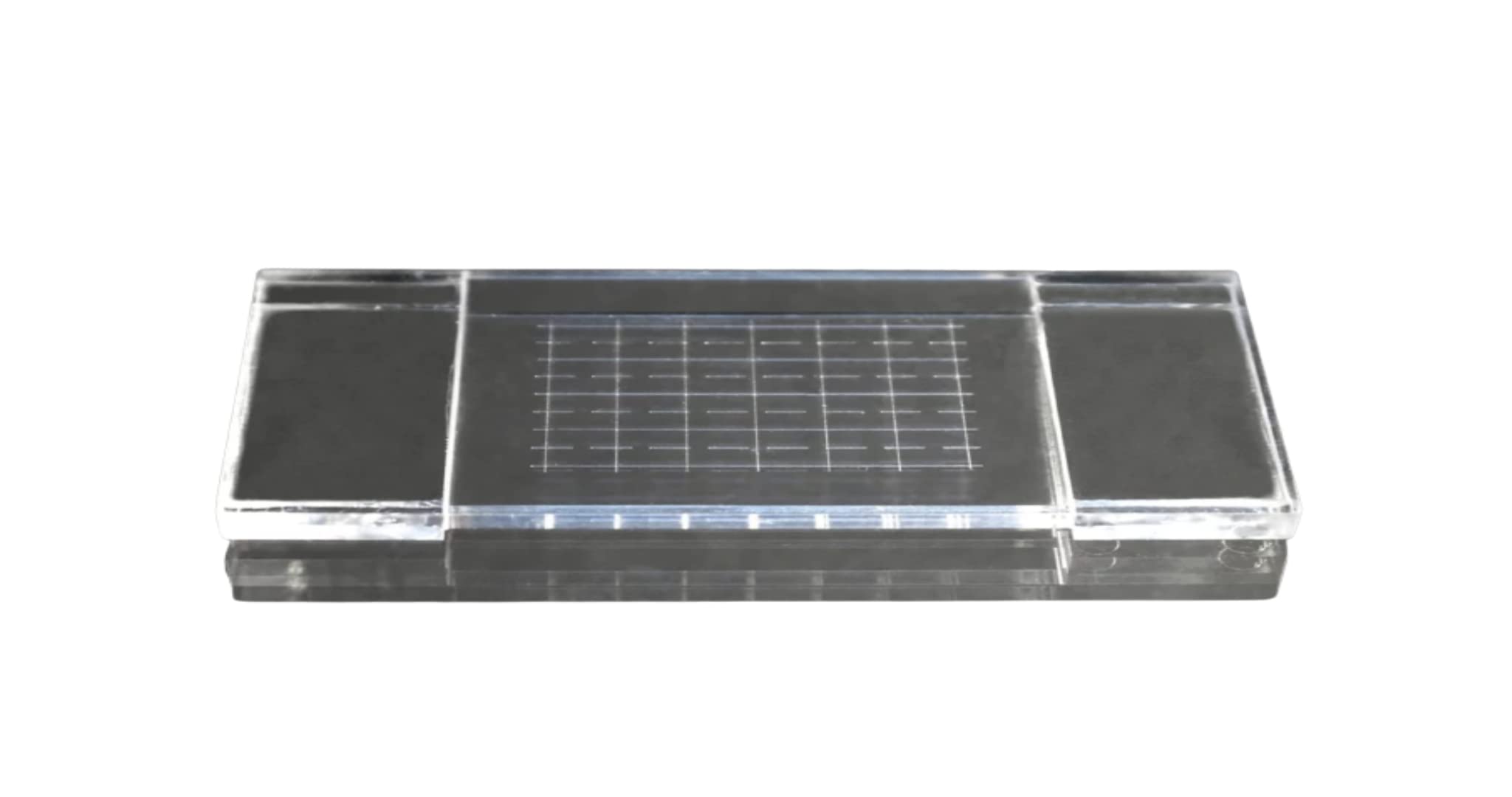 The Original Nematode Opaque Counting Vet Slide by Chalex, for Counting Eggs and vermiform Stages of Plant parasitic nematodes, Veterinarian and Farm Use