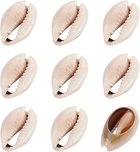 Vista 117 de Cheriswelry 50 cuentas de concha galvanizadas, conchas de cauri en espiral, conchas de mar, verano, playa, cuentas espaciadoras sueltas