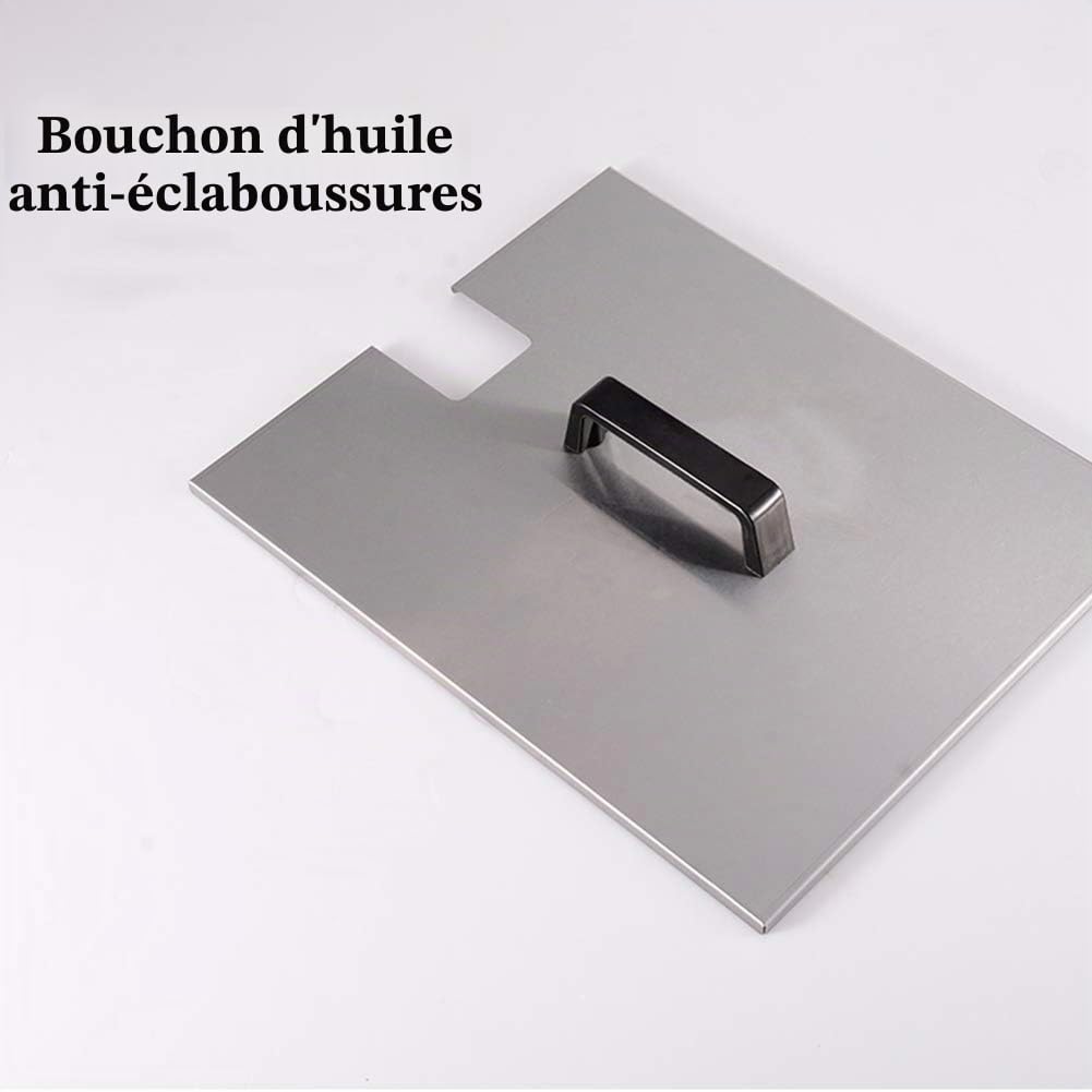 et Friteuse Au Gaz Butane et Propane, Cuve à Allumage par Impulsion Commerciale en Acier Inoxydable avec Panier et Couvercle Anti-éclaboussures
