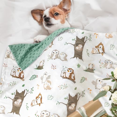 Image of BOPRIO Baby Blankets for Unisex Boys Girls, Ultra Soft Nursery Minky Blankets with Owl Family Design and Dotted Fleece Backing, Cozy Bed Throws for Newborn Toddler Gift 30 x 40 Inch