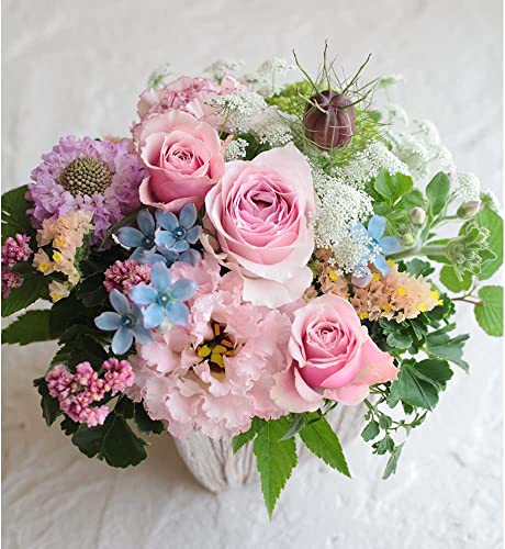 j   v[g lC AWg LO  e Џj N ސEj i i AC LO a 11 12 t[Mtg   j  \ H G߂̉  Vzj JXj sN t[