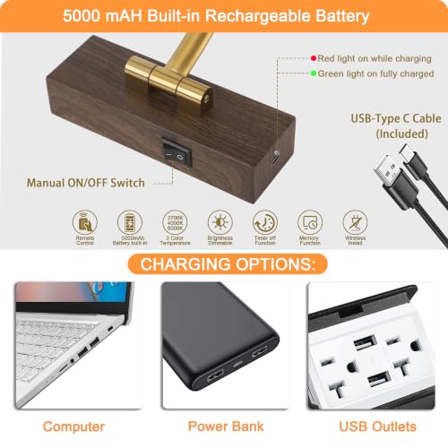 Image of Tassuowell LED Picture Lights for Wall Rechargeable, Battery Operated Art Light for Paintings (Wood Grain, 12inch)