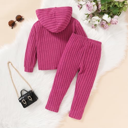 Image of Toddler Girl Fall Winter Outfit Set Stripe Solid Hoodie Pants Clothes Kids 2Pcs Sweatshirt Suit