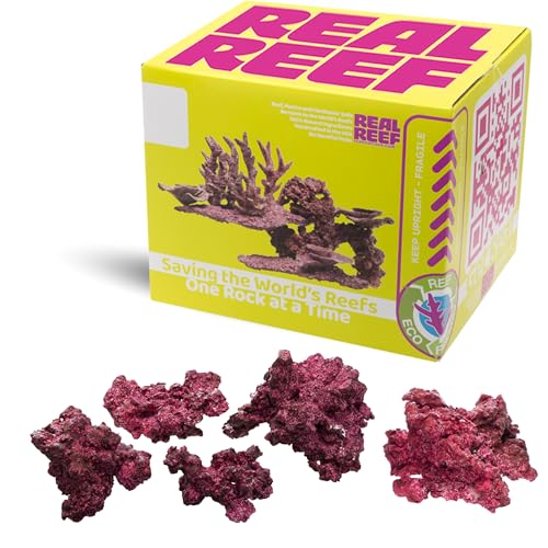 Real Reef Original Rock, 10 lb Mixed Box (Assorted Sizes) - Artificial Live Rock for Saltwater Aquariums, Porous Reef Rock for Marine Aquascapes & Coral Growth, Natural Purple/Pink/Red