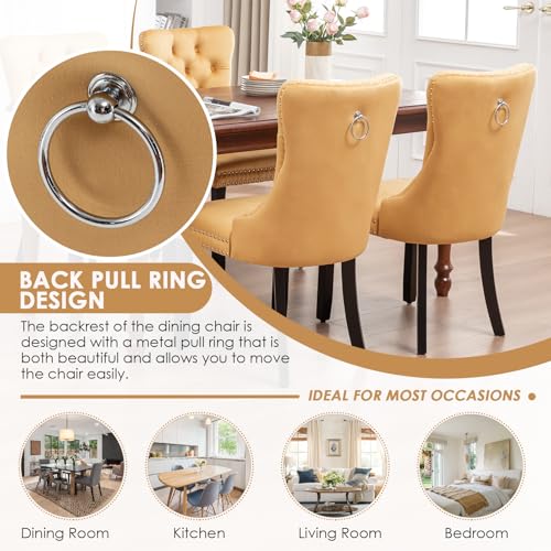 Image of Velvet Dining Chairs, Tufted Kitchen & Dining Room Chairs, Gold, Set of 2