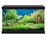 Ciano B01LZ7PE6Q lato 2