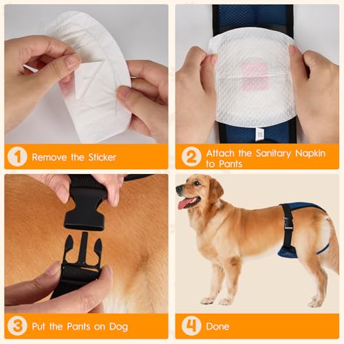 2 Pack Hündin Läufigkeitshose, Höschen für Hunde Läufigkeit, Schutzhose Hündin Waschbare, Hundehose Wiederverwendbare mit 10 Damenbinden, Verstellbare Hundewindeln für Hündinnen (XXL)
