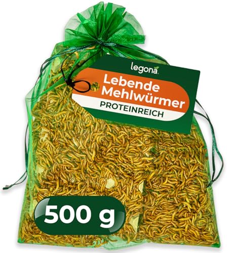 Legona Mehlwürmer lebend 500 g - Futterinsekten für Terrariumtiere und Hühner - Tenebrio Molitor Larven - In Thermobox verpackt kühl lagerbar