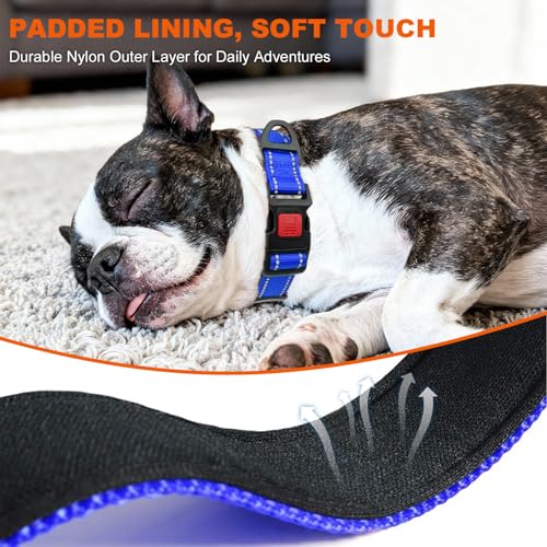 Image of Taglory Reflective Small Dog Collar, Comfortable for Safe Night Walks, Blue