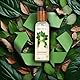 BIO BALANCE Gleitmittel wasserbasiertes Gleitgel - 100% natürlich vegan in recycelter und recyclebarer Flasche - DERMATOLOGISH GETESTET - verschiedene Varianten… (150ml, Gleitmittel)