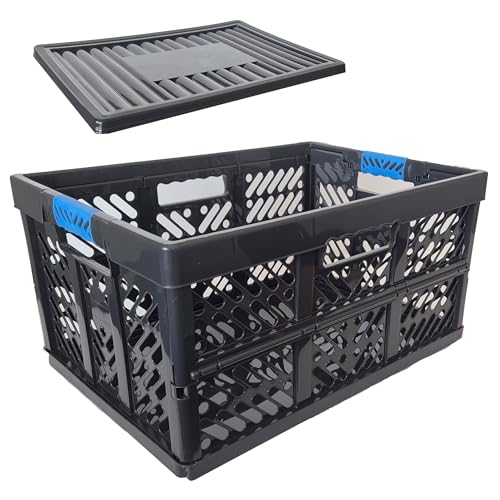 homesti Klappbox 45 L bis 50 kg, 1er Set mit Deckel, 54 x 36 x 28...