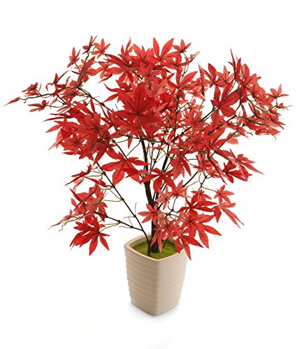 Closer2Nature Artifical Red Maple Tree, 1ft 7'' - Image 4