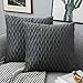 Yamonic Housses Coussin en Velours 45x45cm pour Salon Canapé,Lot de 2 Housses Coussin Carrés de Motif uni Décoration Chambre, Gris