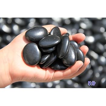 石笛  玉　２４１１１５－１２ YB00003473 4713245 COUPLING WITH HUB FITS FOR HITACHI ZX250