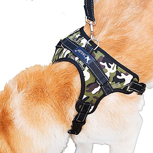 TAIL UP pn[lX  IbNXtH[h \tg Ȃ ʋC ߉\ h~ ^ ^ ^ Č Hc U/P/o|  (M, J)