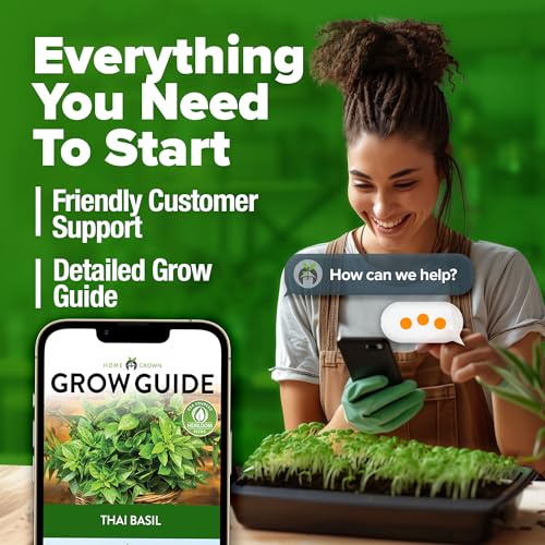 Image of HOME GROWN Thai Basil Seeds Pack - 438 High Germination Heirloom Herb Seeds for Planting,Ideal for Growing Fresh Basil Planting Indoor or Outdoor(Ocimum basilicum VAR.thyrsiflora)