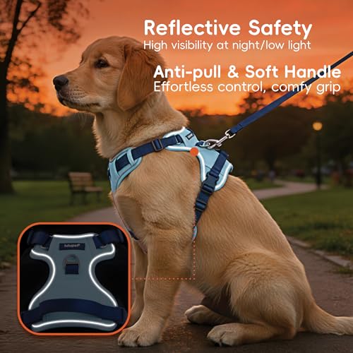 Lulupet No-Pull Dog Harness & Leash Set (Blue, Medium) — view 3