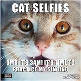 RED EMBER Cat Selfies 2024 Hangable Monthly Wall Calendar | 12' x 24' Open | Thick & Sturdy Paper | Giftable | Kids Teen Fun Funny Cute Cats | Feline Influencers
