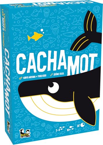 Cachamot Blackrock - vue 5