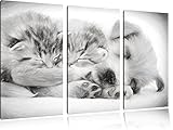 Pixxprint