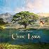 Tim Janis Celtic Lands Audio Instrumental Music for Celtic Meditation, Traditional Irish Music Relaxation, and Stress Relief - Soothing New Age Melodies for Yoga and Massage Sessions - Calming Morning Tunes and Folk Music Audio Tim Janis