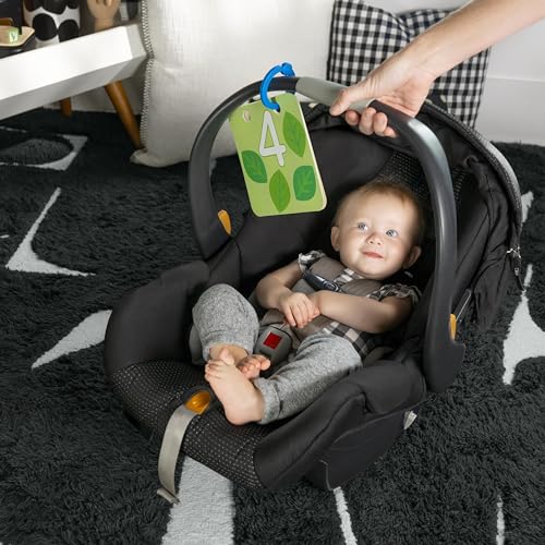 Image of Baby Einstein Discovery Garden Tummy Time Mat & Mirror, Ages 0-6 Months, Multisensory