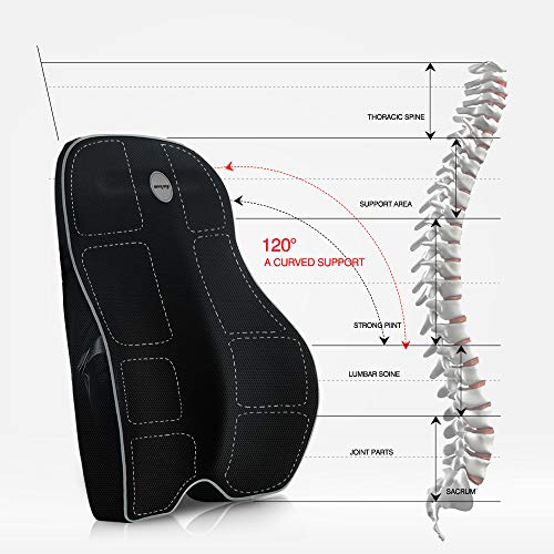 Winjoy Lumbar Support Pillow for Office Chair, Memory Foam Ergonomic Orthopedic Backrest Back Cushion Pillow for Wheelchair, Car, Computer and Desk Seat-Lower Back Pain Relief