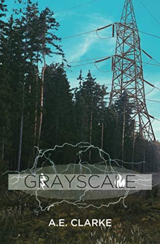 Grayscale view 2