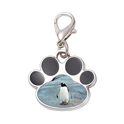 DIYthinker?Antarctic Stone Ocean Penguin Nature Science Pet Tag Keychain Dog Cat ID