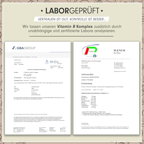 Vitamin B Komplex 365 Tabletten - B Komplex mit B12 - alle 8 B-Vitamine (B1, B2, B3, B5, B6, B7, B9, B12) + Co-Faktoren Cholin & Myo-Inositol, laborgeprüft mit Zertifikat, vegan