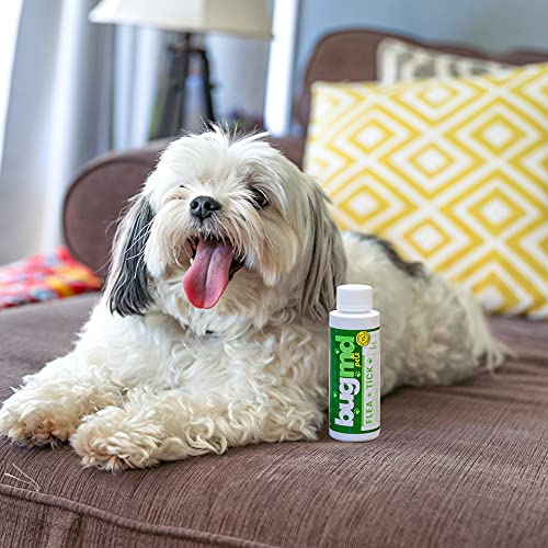 BugMD Flea and Tick Concentrate (3.7 oz)- Essential Oil-Powered Formula, Controls Fleas, Ticks, Mites in Dogs, Cats, and… - Image 5