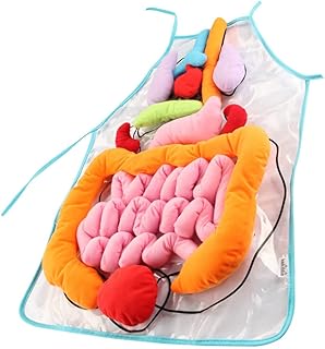 POPETPOP Educational Apron 1 Set 3D Organ Apron, Human Body Organs Cognitive Toy 3D Body Organs Apron Educational Tool Anatomy Apron for Kids 3D Human Organs Apron