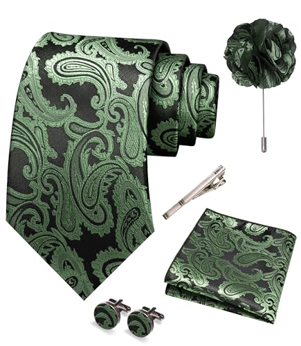 JEMYGINS Mens Sage Green Paisley Tie Necktie and Pocket Square with Lapel Pin,Cufflinks,Tie Clip Sets 5PCS(27)