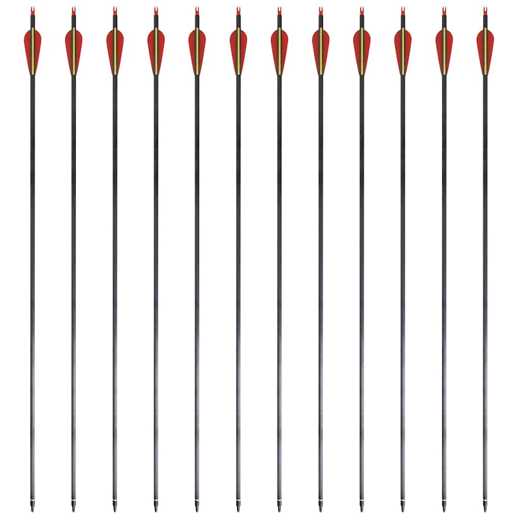 12 STK. Carbonpfeile 30 Zoll für Recurvebogen, robuster Pfeilschaft 0,76 cm Durchmesser, max. 40 lb Zuggewicht