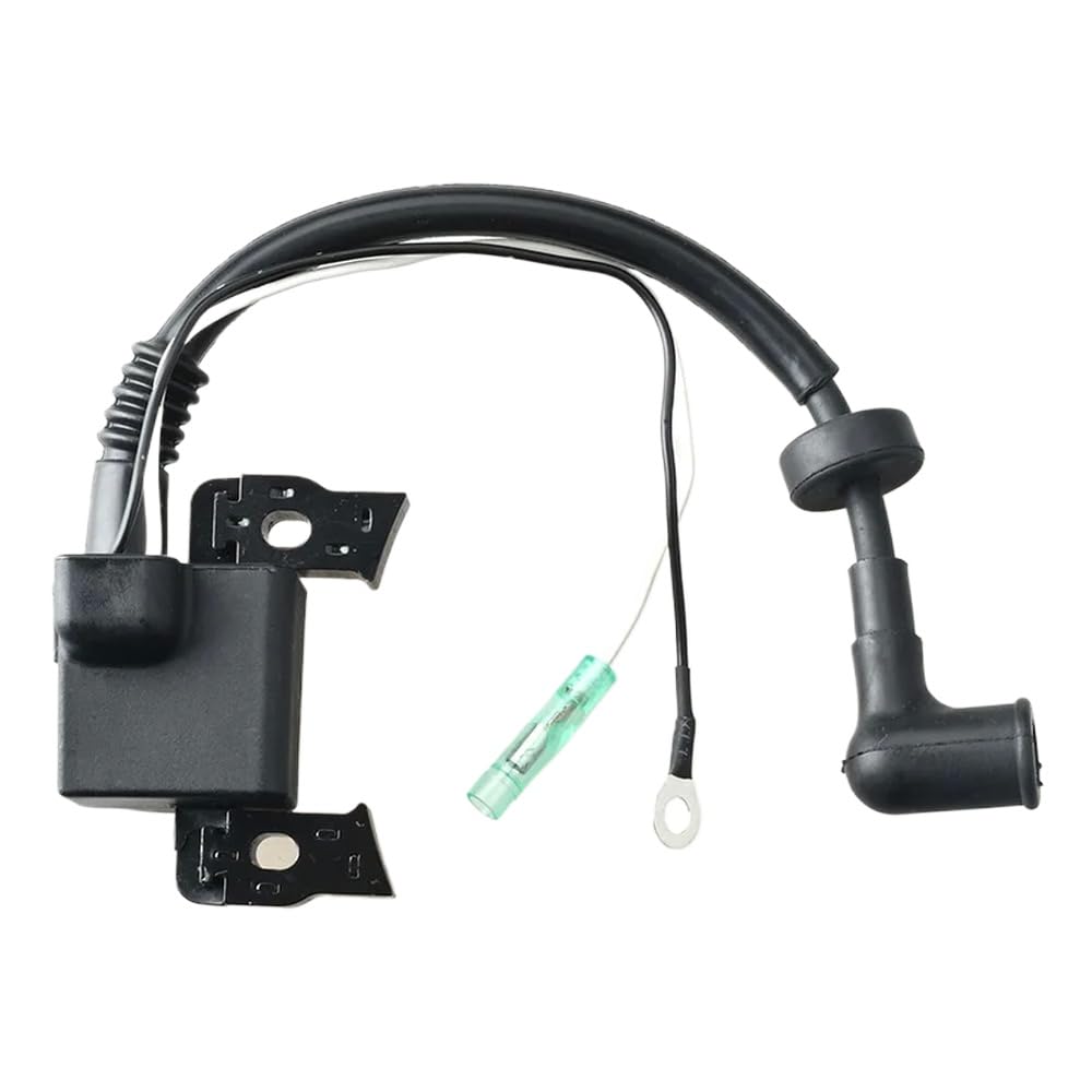 6BV-85571 Gruppo Bobina di accensione con Compatibile con Motore per Barche a 4 Tempi F4 6BV-85571-01-00 Accessori di Ricambio aftermarket