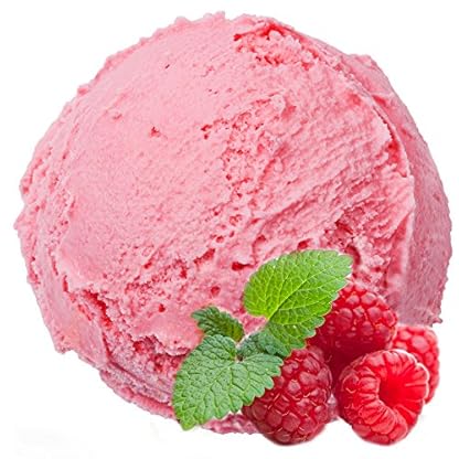 Himbeer Geschmack Eispulver VEGAN - OHNE ZUCKER - LAKTOSEFREI - GLUTENFREI - FETTARM, auch für Diabetiker Milcheis Softeispulver Speiseeispulver Gino Gelati (Himbeer, 10 kg)
