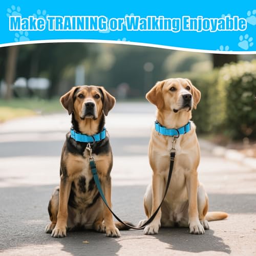 Image of Martingale Dog Collar, Reflective No Pull with Buckle, Sky Blue, S | Escape Proof without choking ,Training Collar with Quick Release Buckle, Adjustable Heavy Duty Nylon collars for S M L Dogs