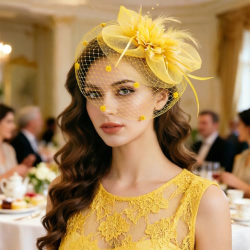 Image of DRESHOW Women Fascinator Hats Tea Party Hat Vintage Pillbox Hat Headband for Cocktail
