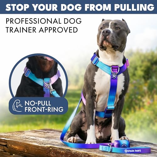 Image of Spark Paws No Pull Dog Harness with Handle for Large Dogs, Heavy Duty Dog Harness for Big Strong Breeds, Adjustable, Y Shaped Padded Halter Design with Front Clip - 90s Retro - M