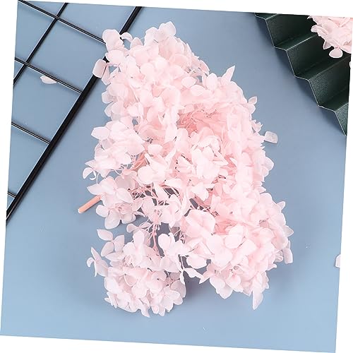 Pétalos eternos secos de hortensia para decoración miniatura 6