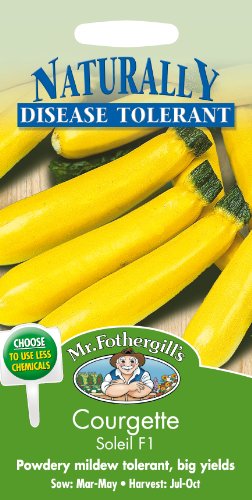 Mr. Fothergill's 14176 Samen Zucchini, Soleil F1