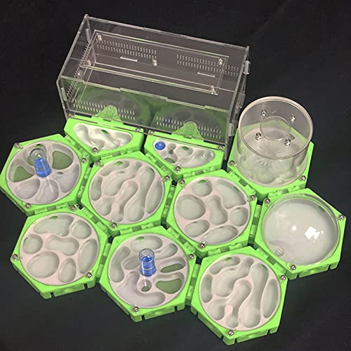 Nid de fourmi 3D acrylique extensible pour éviter les évasions et le manque d'espace de la colonie