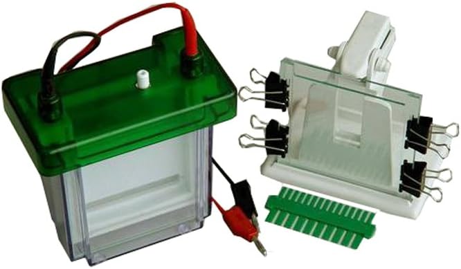 Donglin, DL-24DN Double-sided vertical electrophoresis system, DL-24DN